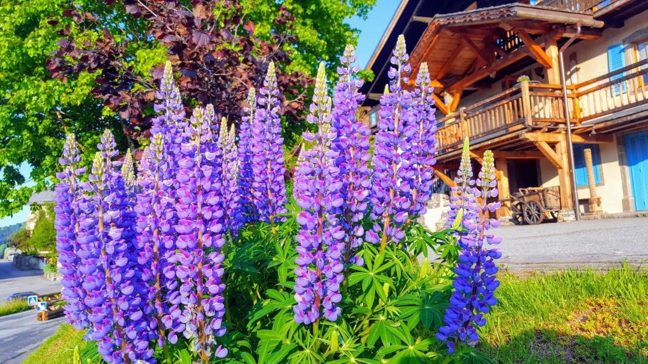 Chalet La Source 호텔 Saint-Nicolas-la-Chapelle  외부 사진